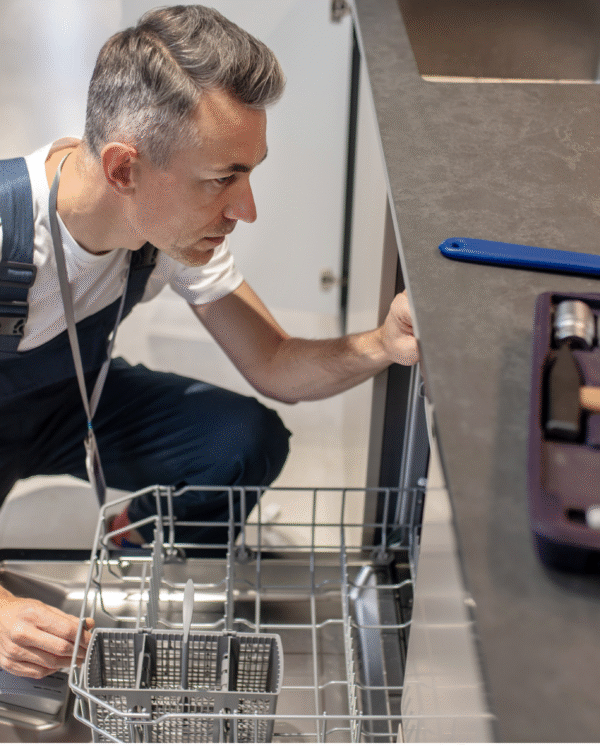 Untitled design (39)